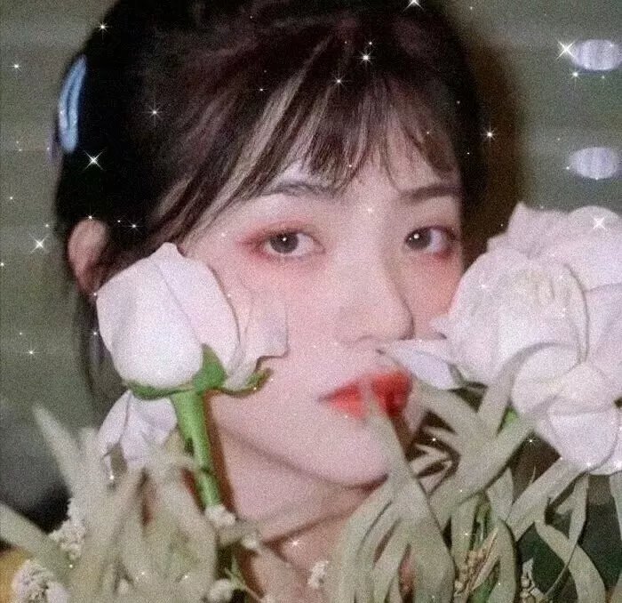 长夜开拓者